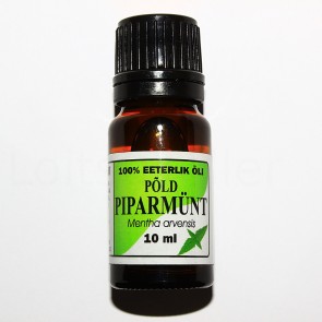 Piparmünt (Arvensis põld)